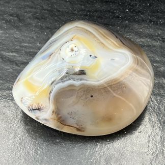 Agate Dendritique 525g