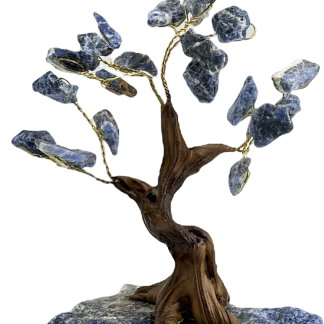 Bonsaï Sodalite qualité extra 11cm environ