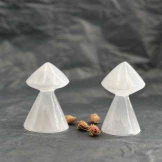 Champignon en Sélénite