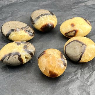 Gros Galet Septaria Qualité Extra