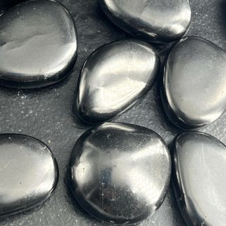 Galet Shungite