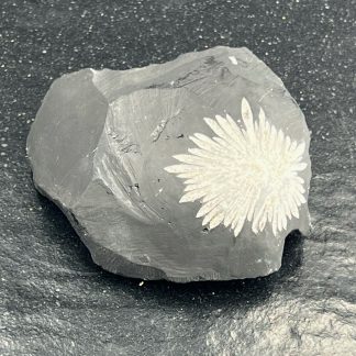Pierre de Chrysanthème naturelle N°1