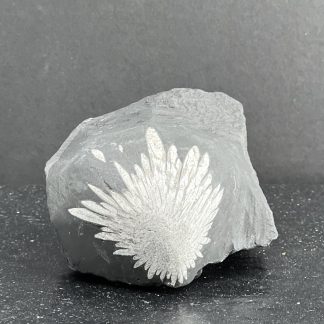 Pierre de Chrysanthème naturelle N°3