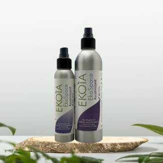 Eko Space Assainissant d'air 250ml